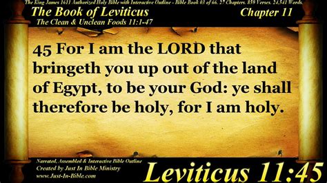 11 lv|leviticus chapter 11 pdf.